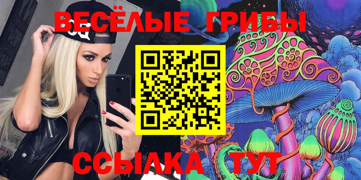 Галлюциногенные грибы Psilocybine cubensis Химки