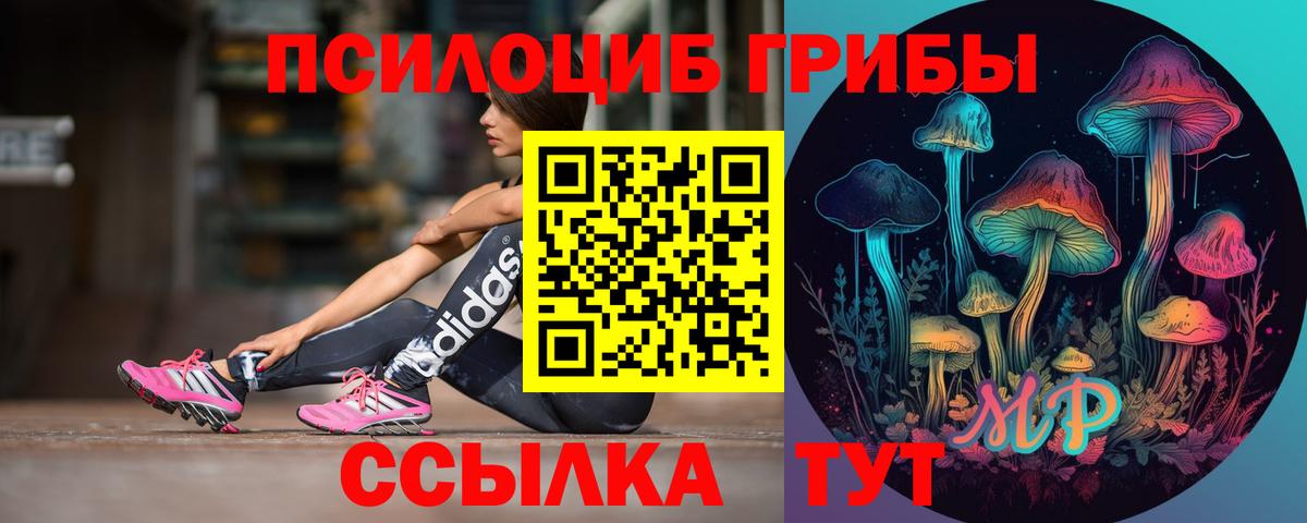 Галлюциногенные грибы Psilocybine cubensis  Вход с VPN  Химки 